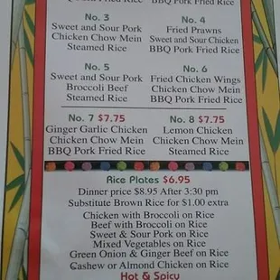 Chinese Pork Fried Rice