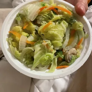 &quot;Chow mein&quot;.... but without noodles and also steamed vegetables, not fried ?
