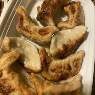 Pork fried dumplings