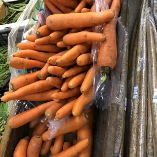 Huge carrots!