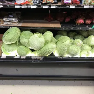 Monster sized cabbage!