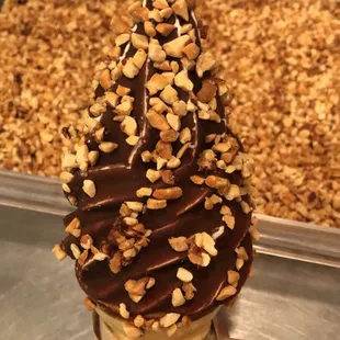Frozen custard dipped in chocolate and rolled in nuts