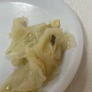 Cabbage with a roach in it.