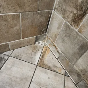 Caption not really needed, but this is what I found in the restroom