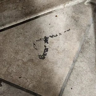 Caption not really needed, but this is what I found in the restroom