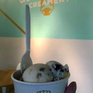 Salted Oreo Ice Cream !