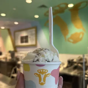 Mint chocolate chip