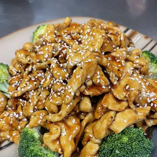Teriyaki chicken