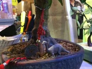 Dragon House Chinese Restaurant