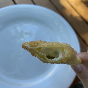 Fried Cheese Wontons