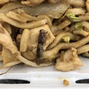 Grasshopper in food