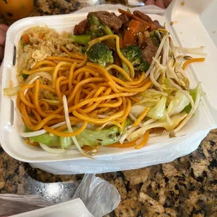 Beef and broccoli with chow mein and rice