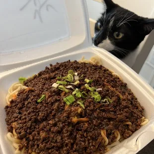 Zhajiang Noodles with a side of cat