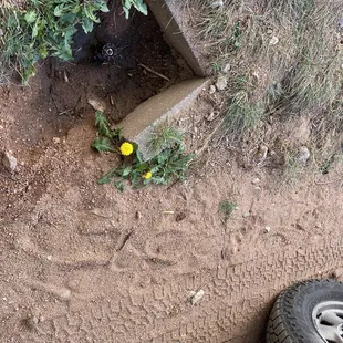 Water 6 inches into the ground, and that is NOT our truck. So our water was up close and personal to my neighbors vehicle.