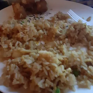 a plate of rice and meat