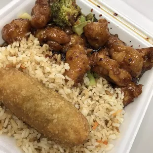 General Tso lunch plate