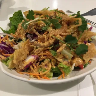S9. Rainbow Salad (GFO)