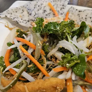 #9. Goi Mit ($14.95). Lots of different textures and tangy. This may be an acquired taste for some, but I loved it! 12/24/2024