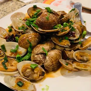 Clams with black Bean sauce