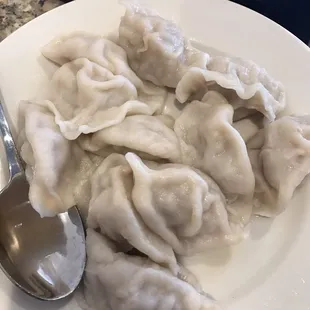 Chinese Cabbage Dumplings