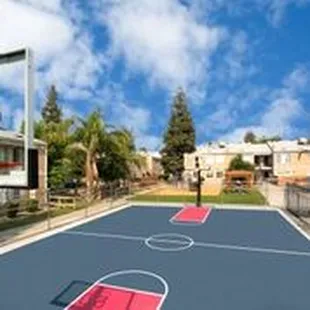 Basket Ball Court