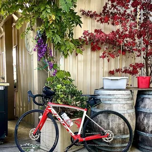 Just me n Ridley ... for a nice ride n brekkie.