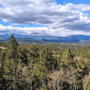 Raccoon Trail | Instagram: @telephonesmoothie