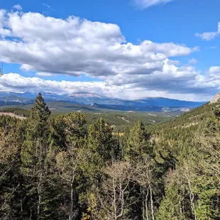 Raccoon Trail | Instagram: @telephonesmoothie