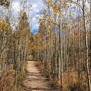 Raccoon Trail | Instagram: @telephonesmoothie