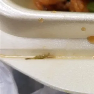 a close up of a plate of food