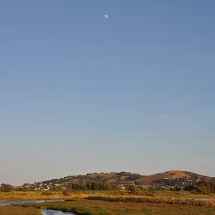 the Corte madera shorebird marsh, at the back of the park