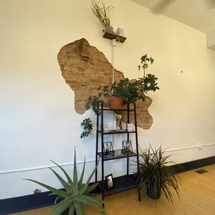 a shelf with potted plants on it