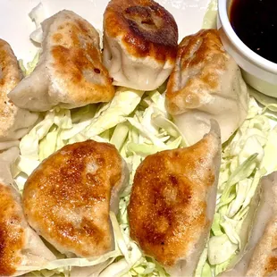 Fried Pork Dumplings