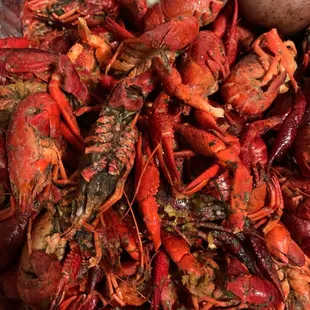 Old Crawfish