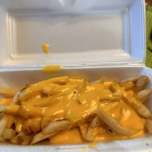 Cheese  French Fries
