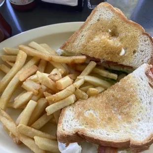 BLT with fries