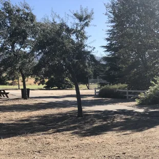 Beautiful trail off Reeves in Golden Hills