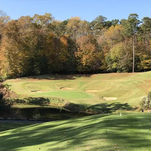 Golden Horseshoe Golf Club Gold Course