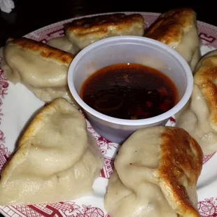 The fried dumplings appetizer.