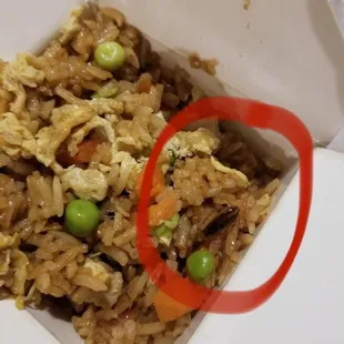 Fried Rice with Cockroach in it