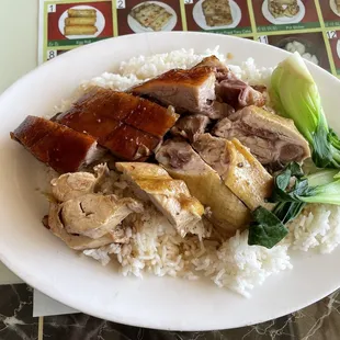 R2. Two Combination Over Rice, roast duck and marinated chicken