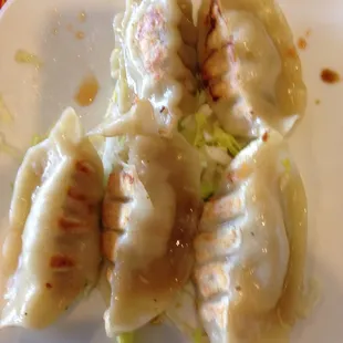 Pot Stickers