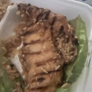 Teriyaki chicken???!
