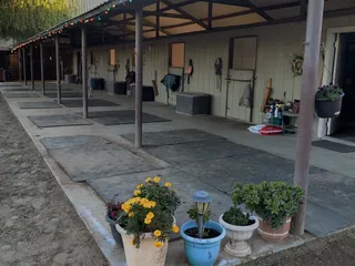 Ringwood Stables