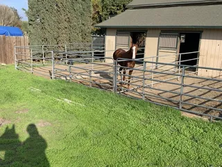 Cedar Creek Stables