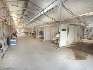 Diamond K Ranch