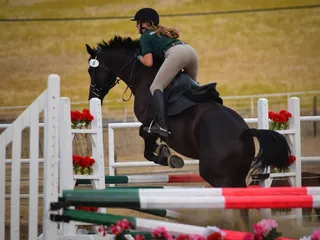 Skylark Equestrian