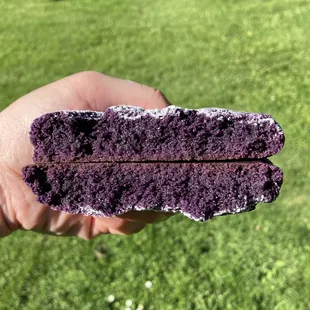 Ube Cookie