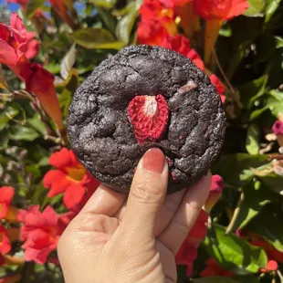 Vegan Strawberry Dark Chocolate Cookie