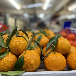 Tangerines